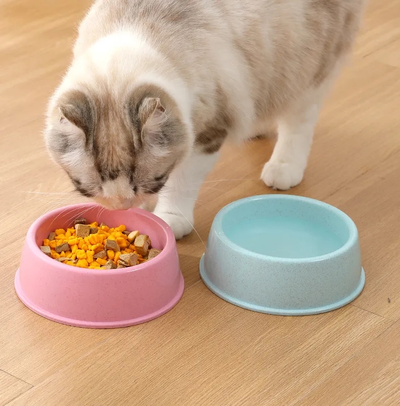 Eco-Friendly Wheat Straw Pet Food Bowl 2