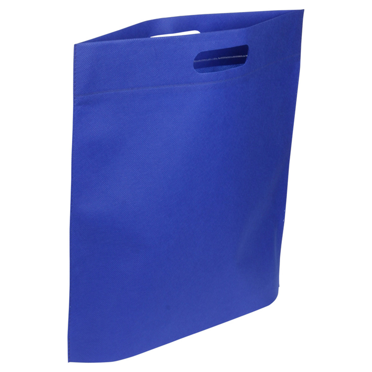 Echo Large Non-Woven Tote 12