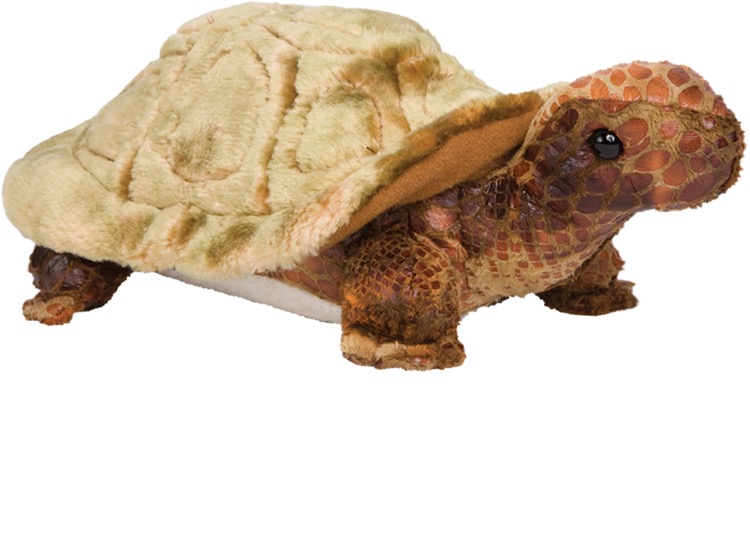 Speedy Tortoise Stuffed Animal 2