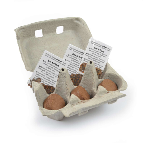 Egg Carton Garden 2