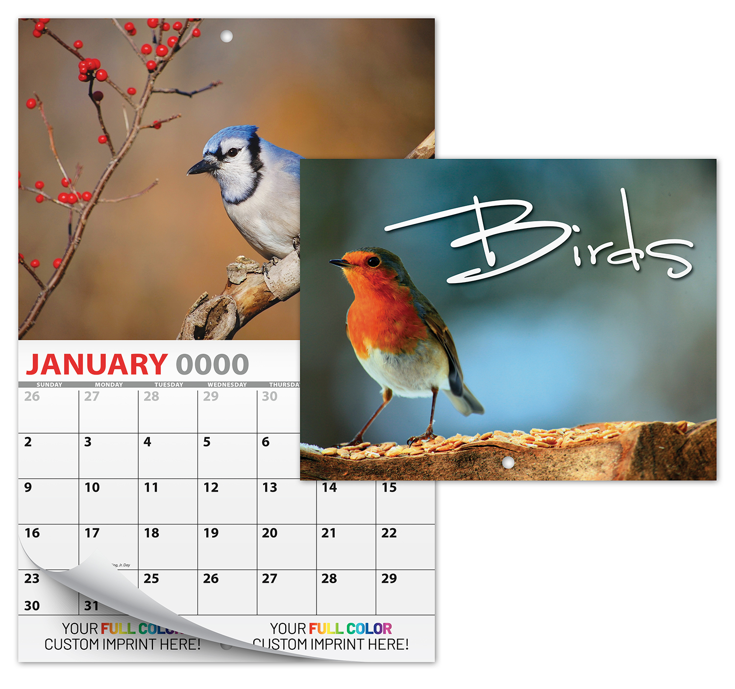 13 Month Custom Appointment Wall Calendar (High Gloss UV-Coated Cover)- BIRDS 1