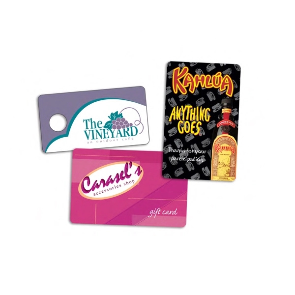 Plastic ID/identification Card 2