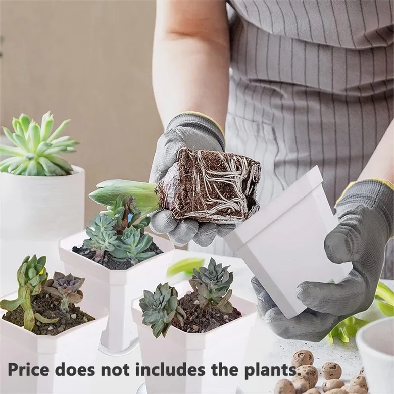 Plastic Square Planting Pot 4