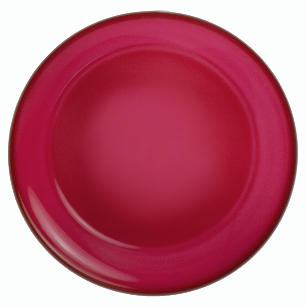 9.25 in. Solid Color Flying Discs 10