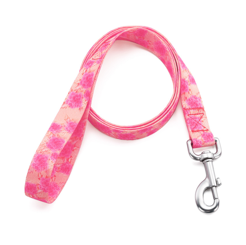 Dog Leash 3