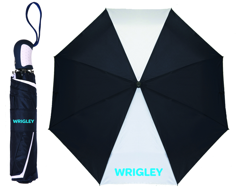 The Spirit (TM) Umbrella 19