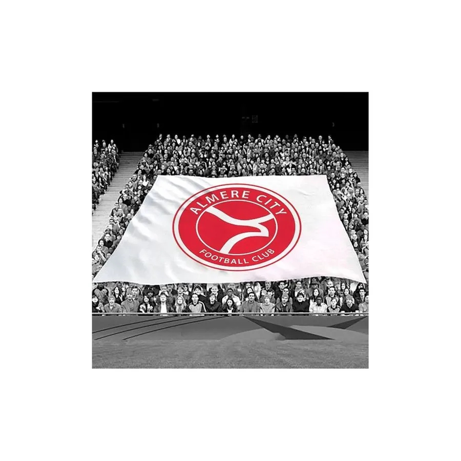 Crowd Flag 3