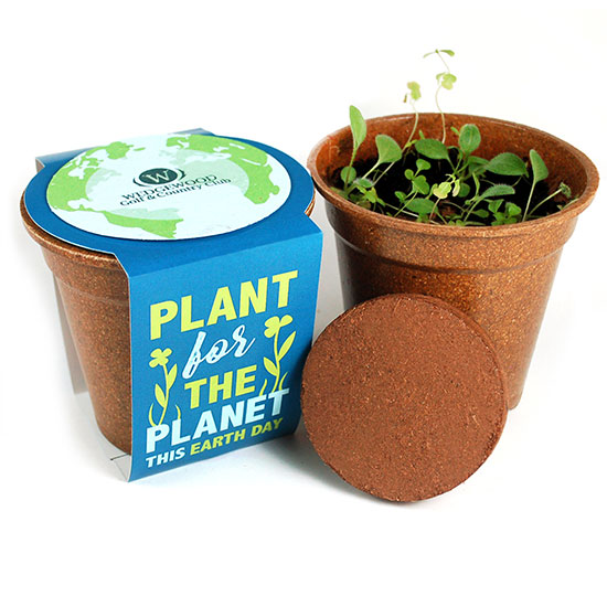 Plant for the Planet Seed Paper Sprouter Kits 6