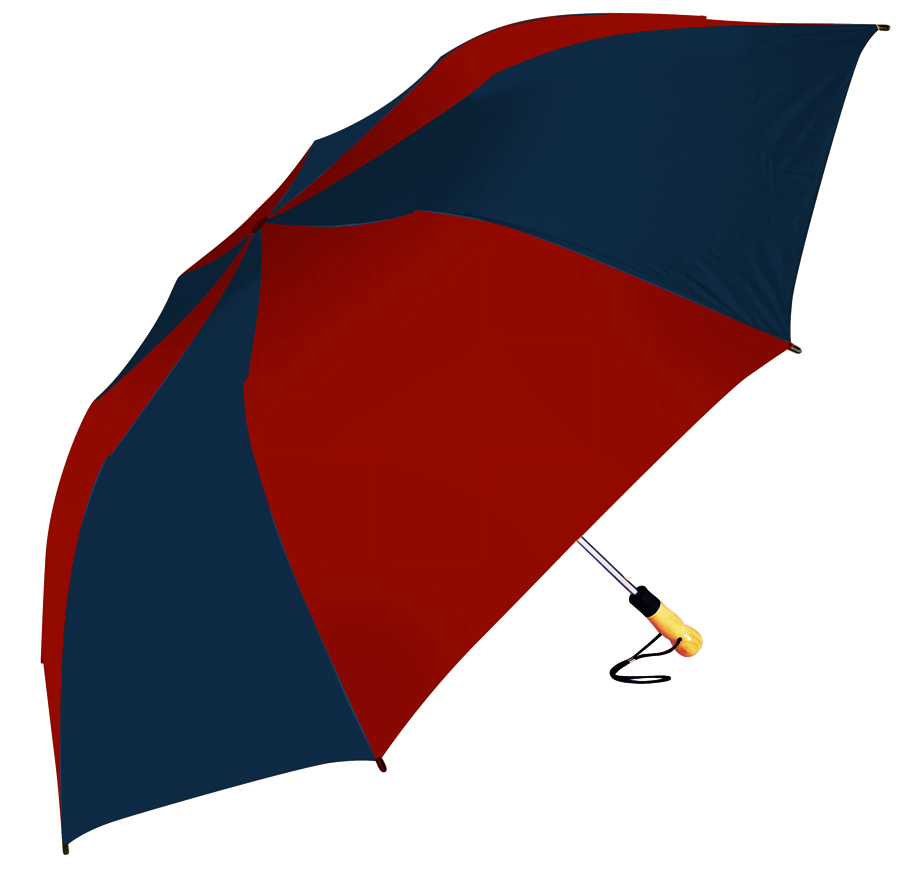 The Big Storm (TM) Umbrella 27