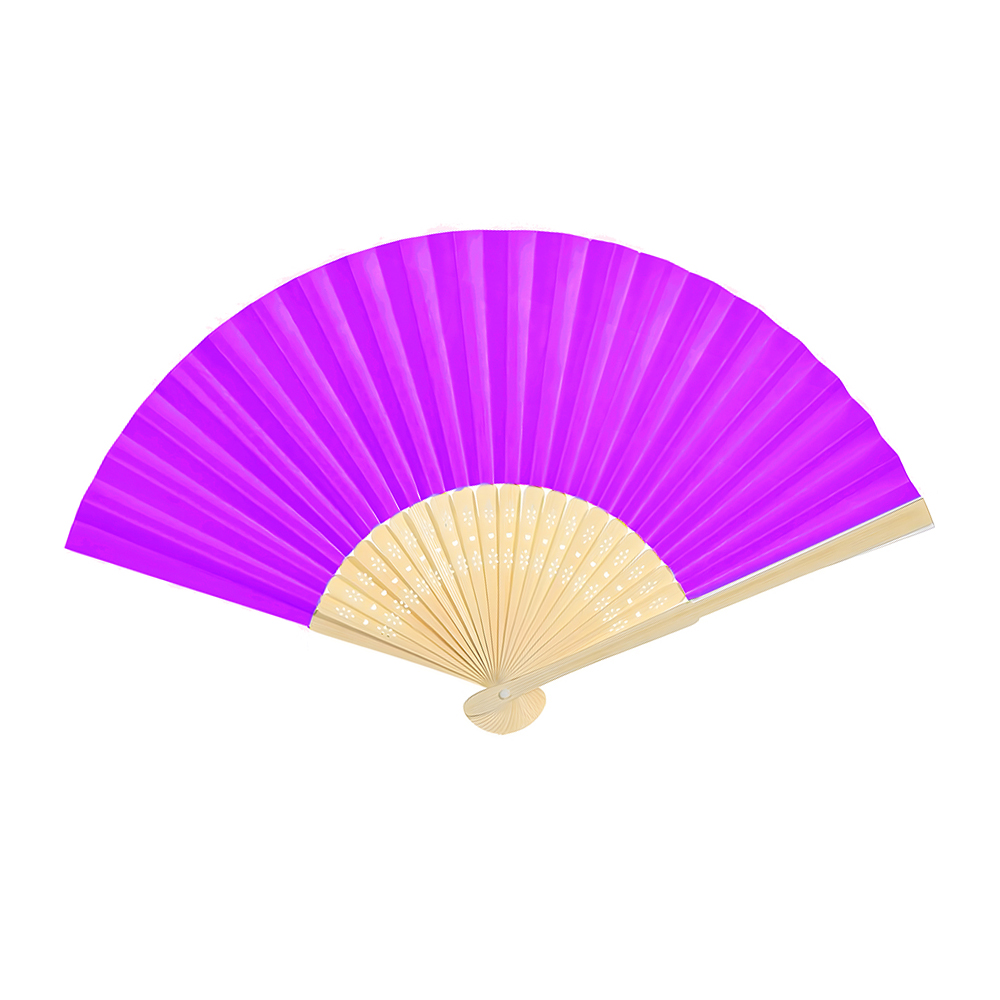 Foldable Fancy Hand Fan 6