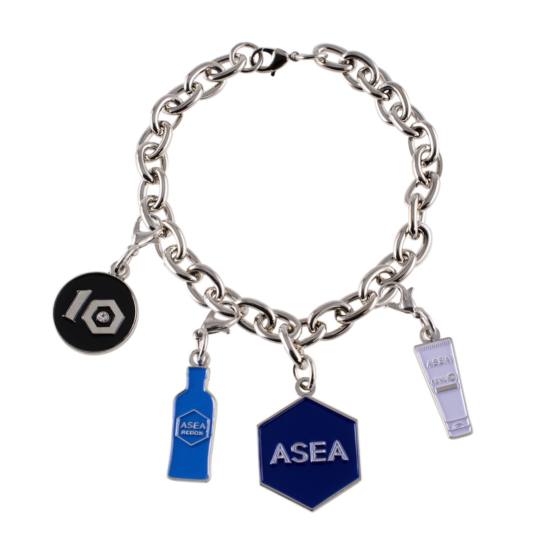 Custom Made Charm Bracelet 2
