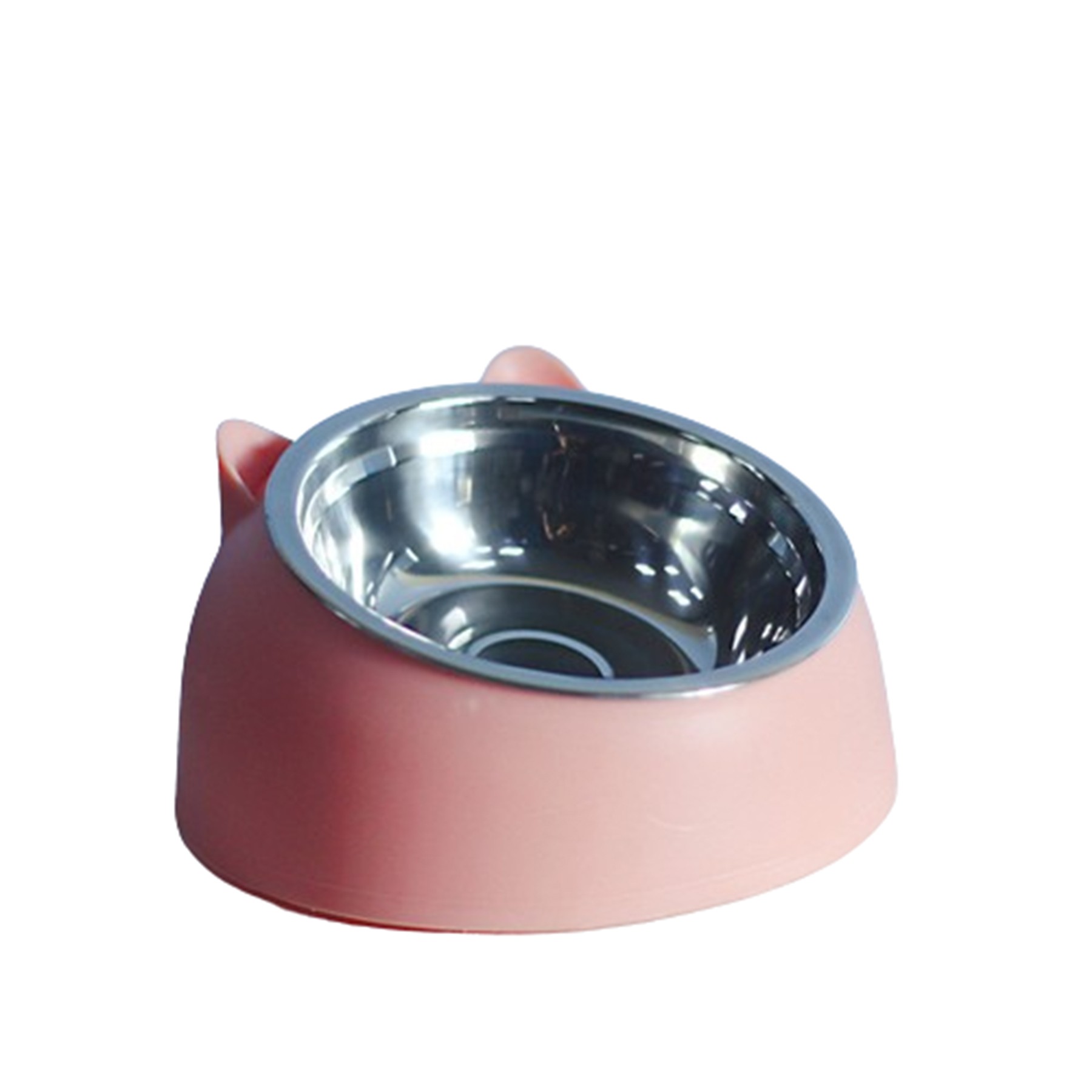 Stainless Steel Bevel Pet Bowl 5