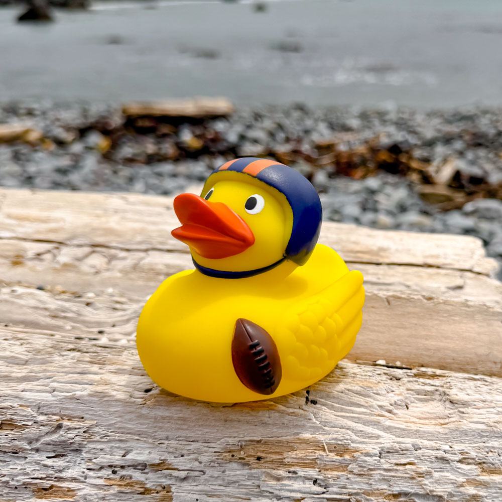 Football Duck 5