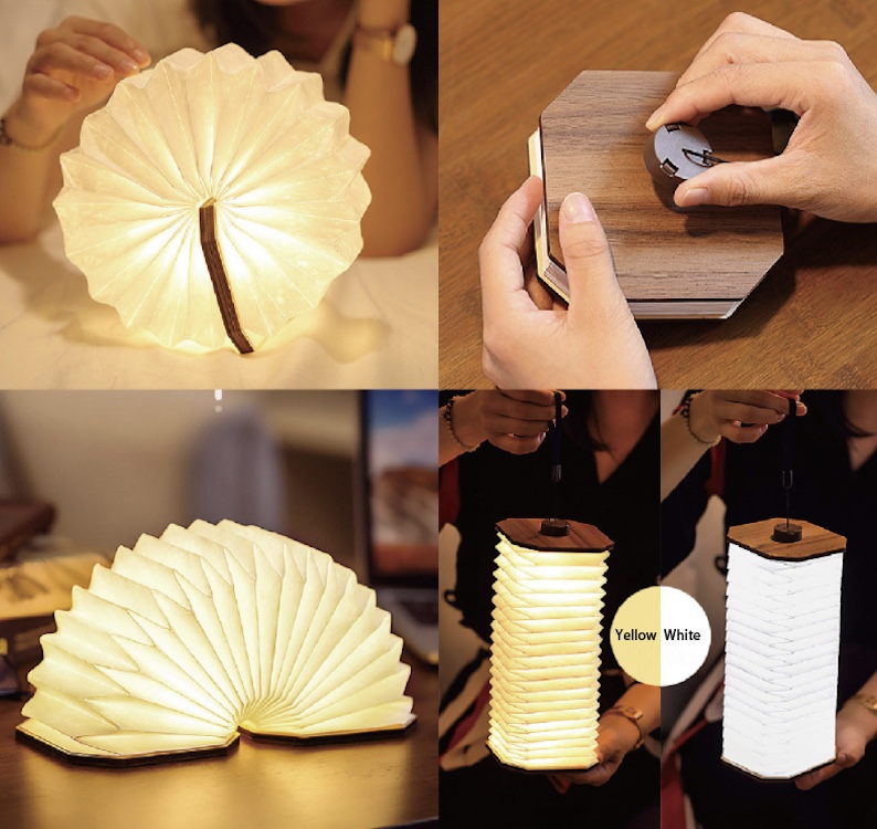Folding LED Organ Light 4
