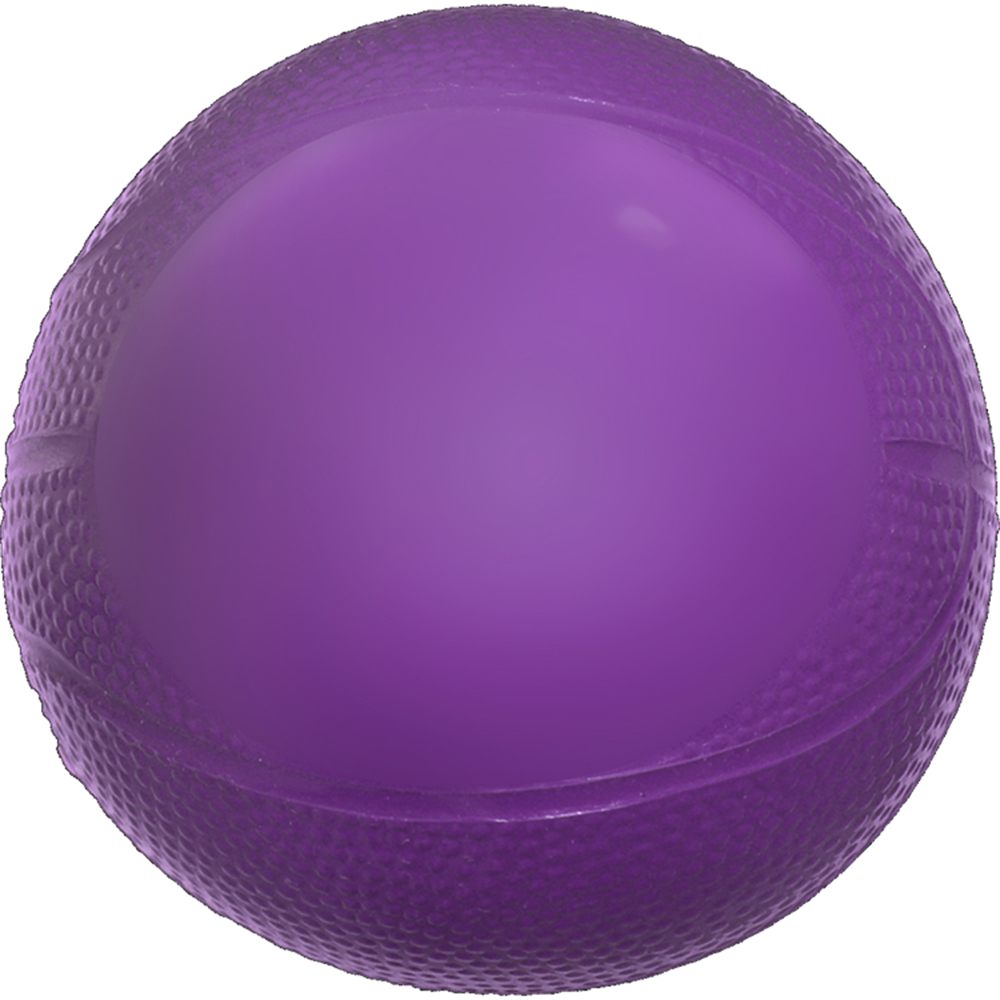 Mini Vinyl Basketball 5