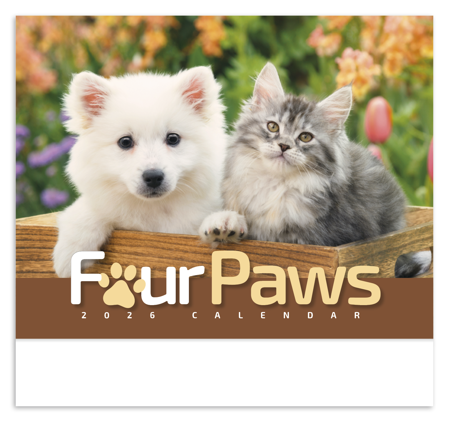 HotLine® Products Four Paws Appointment Calendar - Stapled 4