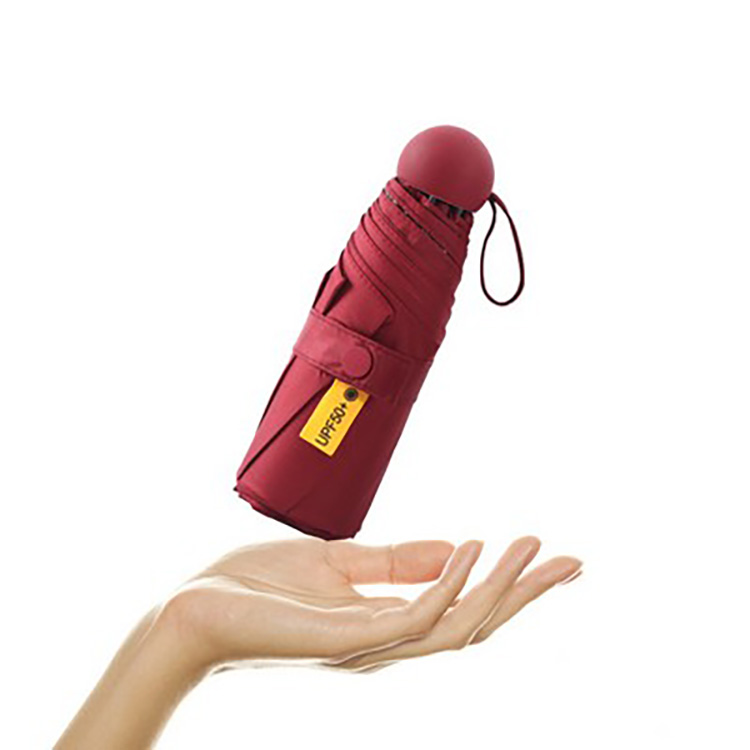 Folding Travel Umbrella with Capsule Case 3
