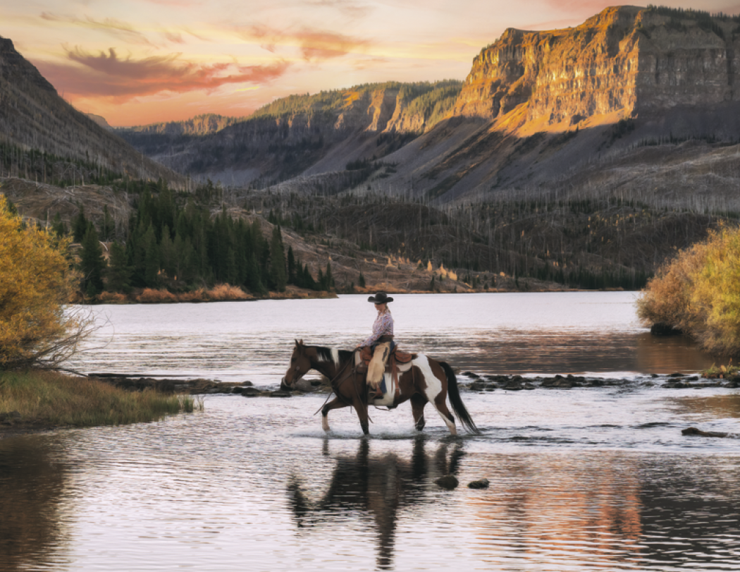 Triumph® Calendars Visions of the West Calendar 40