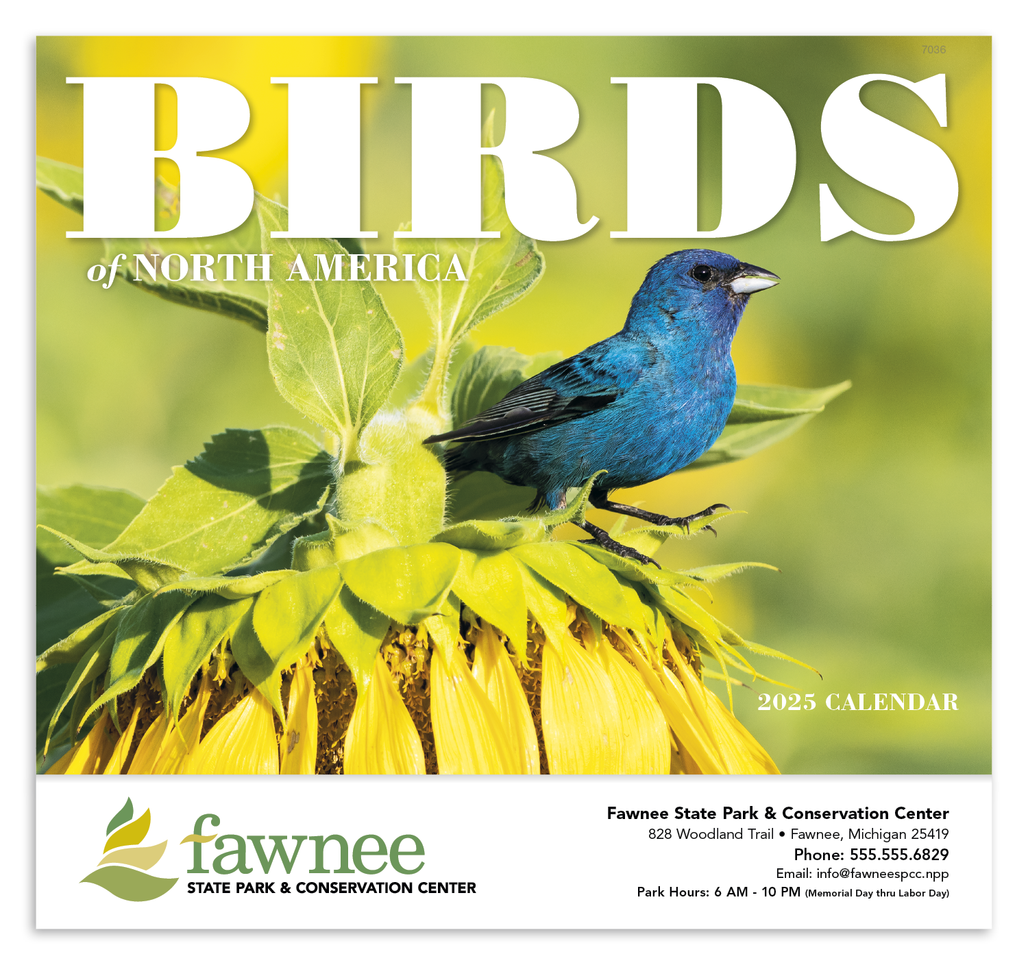 Good Value™ Birds of North America - Stapled Calendar 34