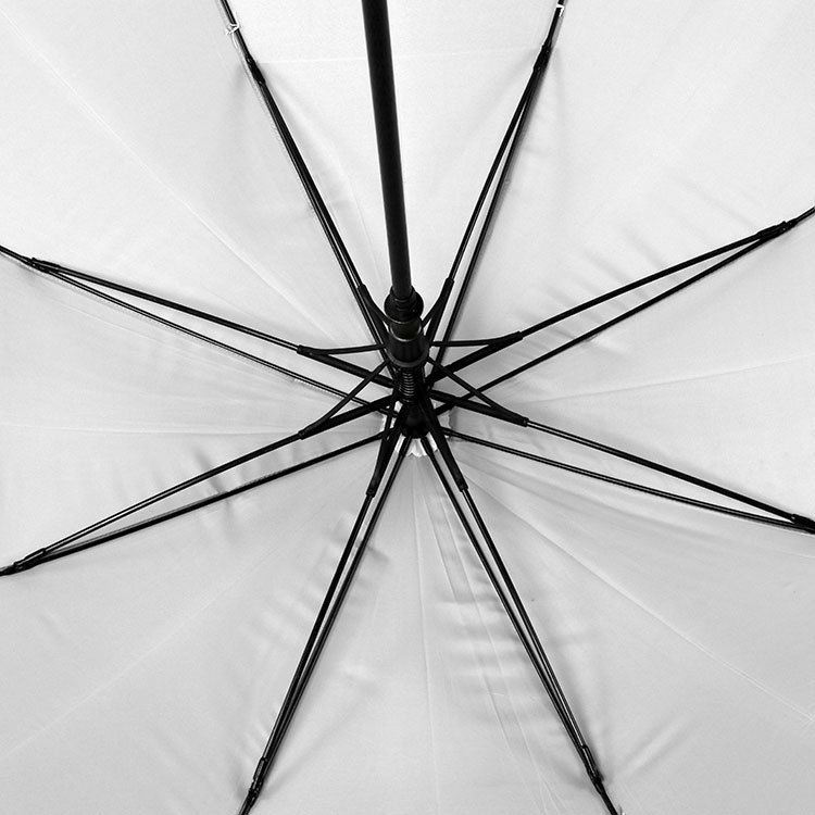 Auto Open Arc Golf Umbrella 2