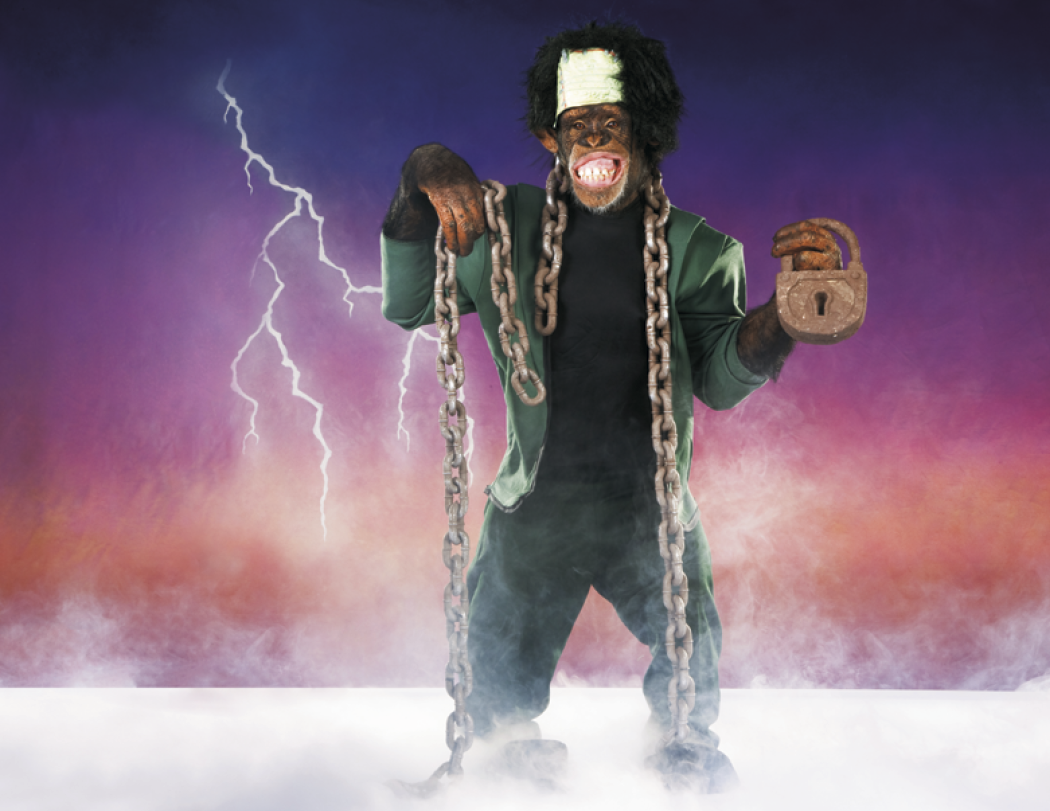 Triumph® Calendars Monkey Business Calendar 13