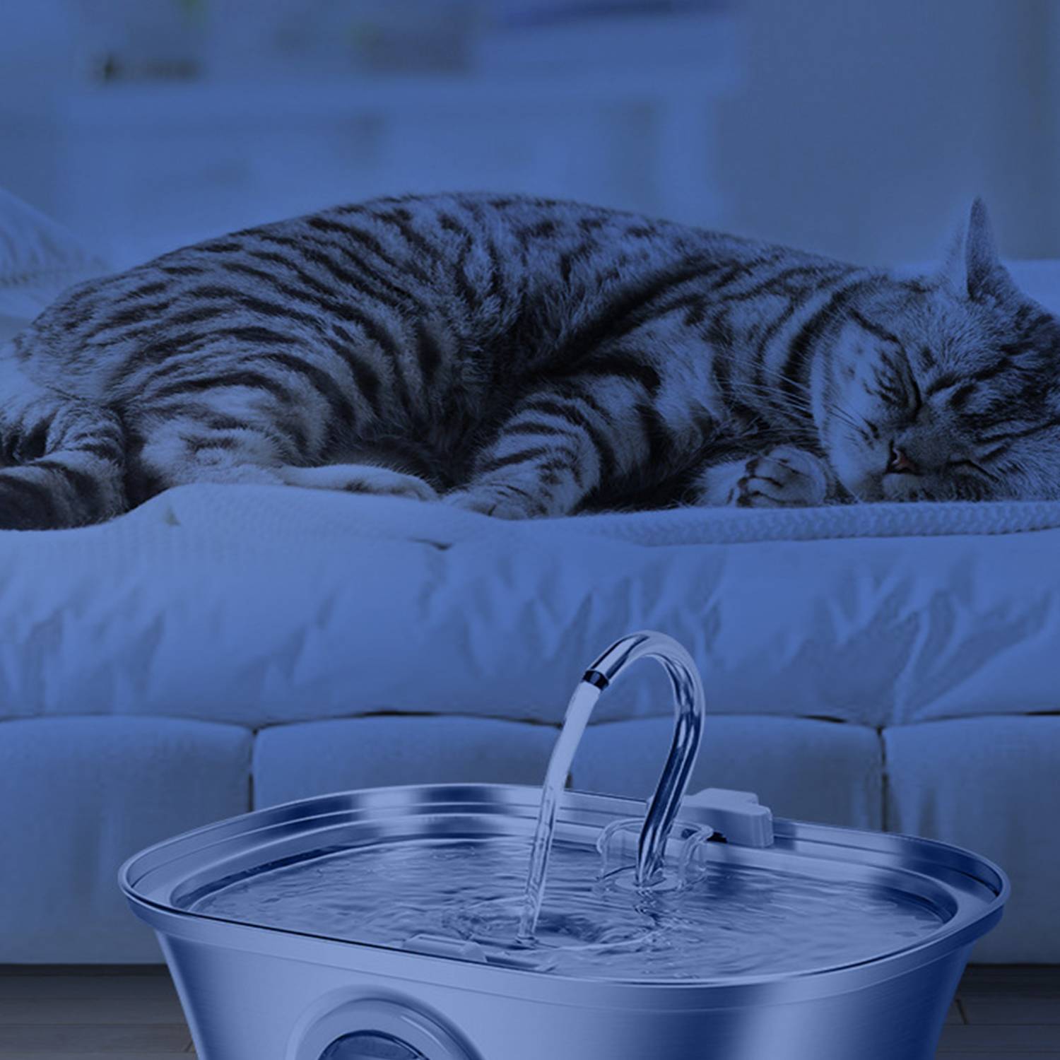 Stainless Steel Cat Water Fountain with Levels Window 2
