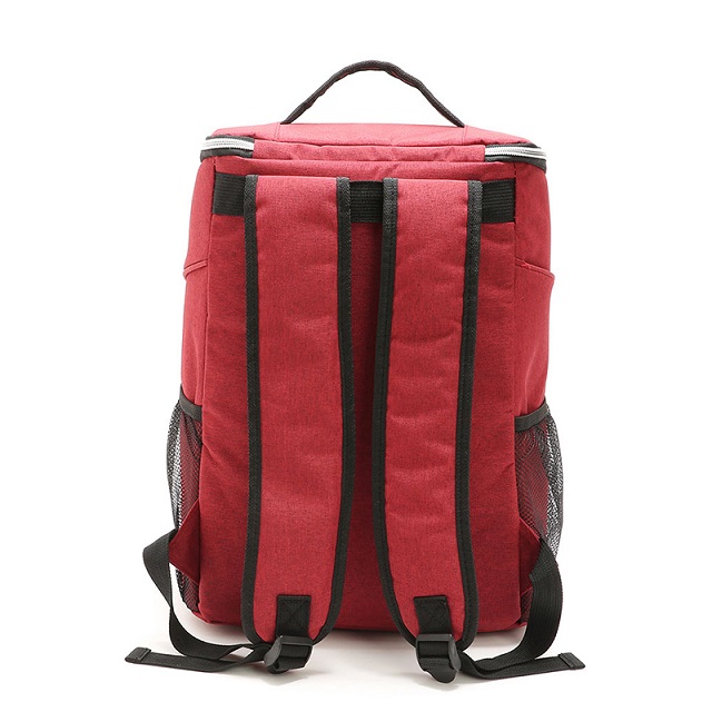 Outdoor Insulated Cooler Backpack 6