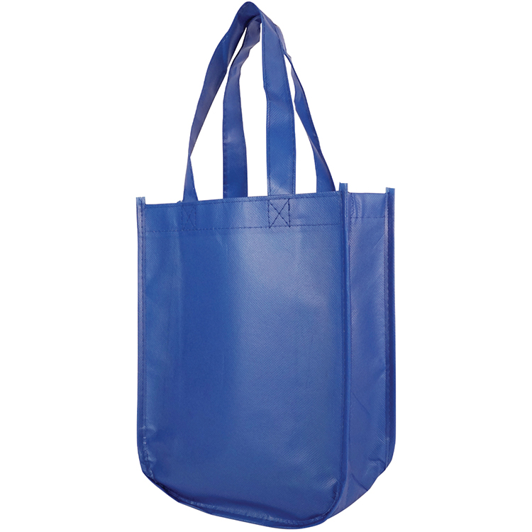Sundale Small Matte Laminated Tote Bag 2