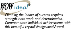 Wedgewood Award 3