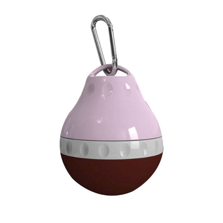 Never Travel Alone Pet Water Bottles 2