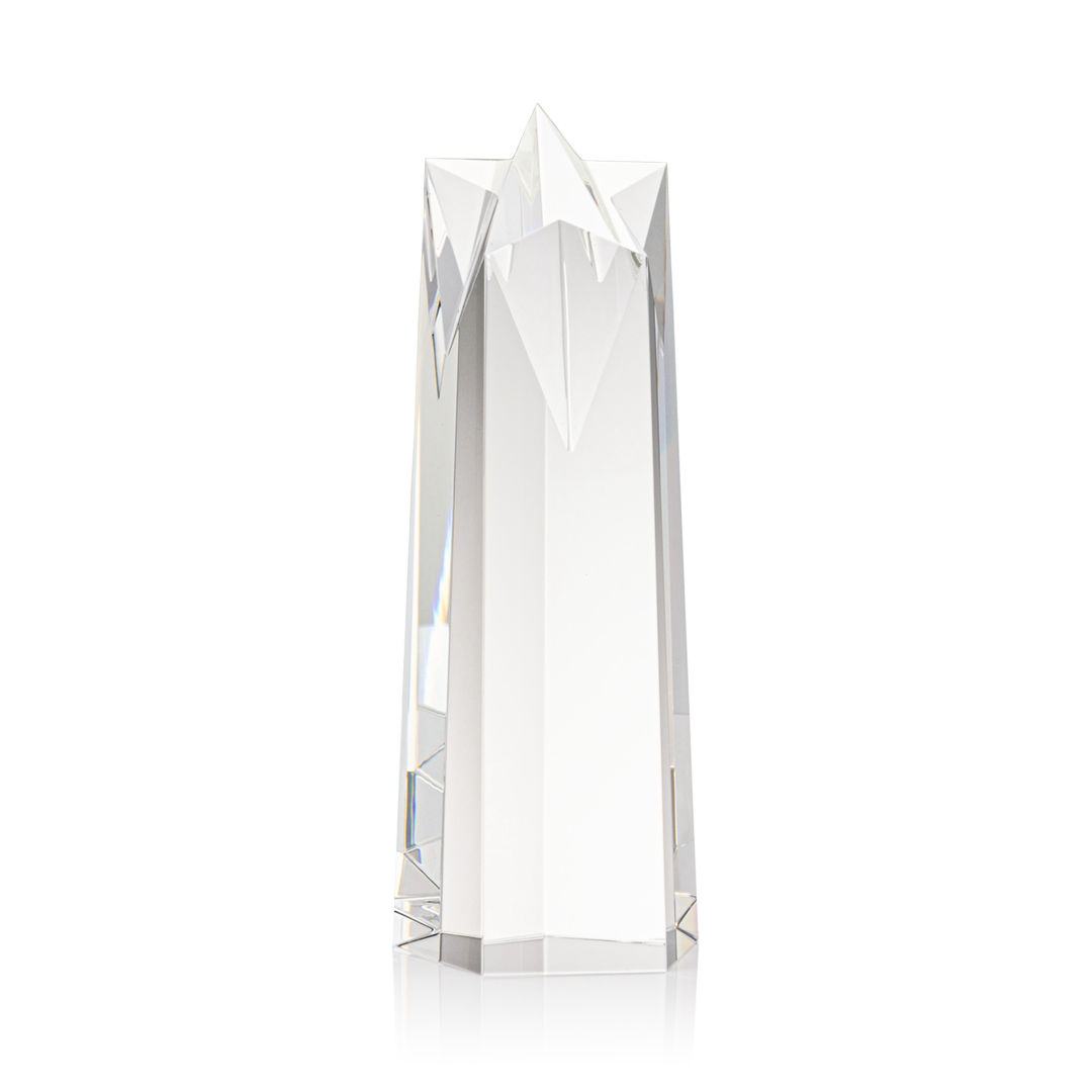 Ellesmere Star VividPrint™ Award 3