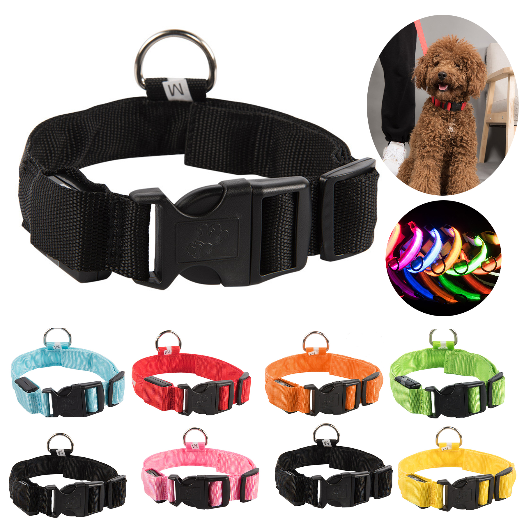 LED Dog Collar