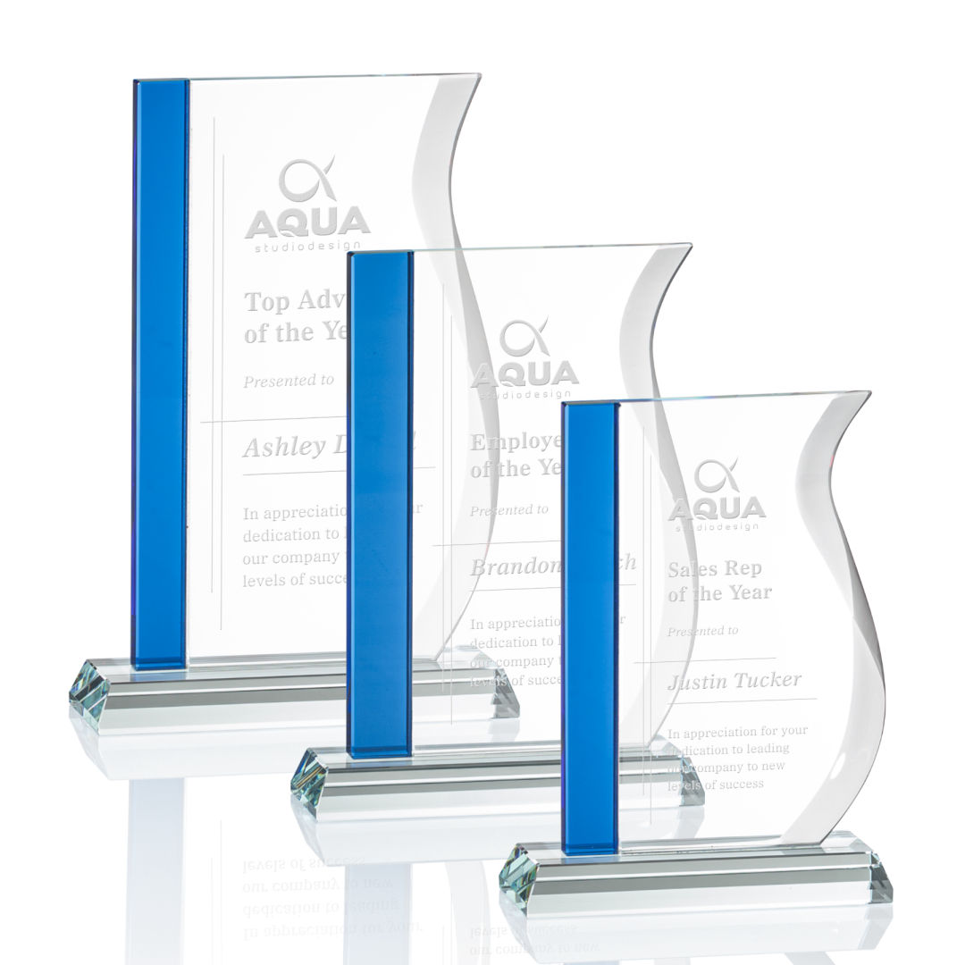 Burbank Award - Blue 4