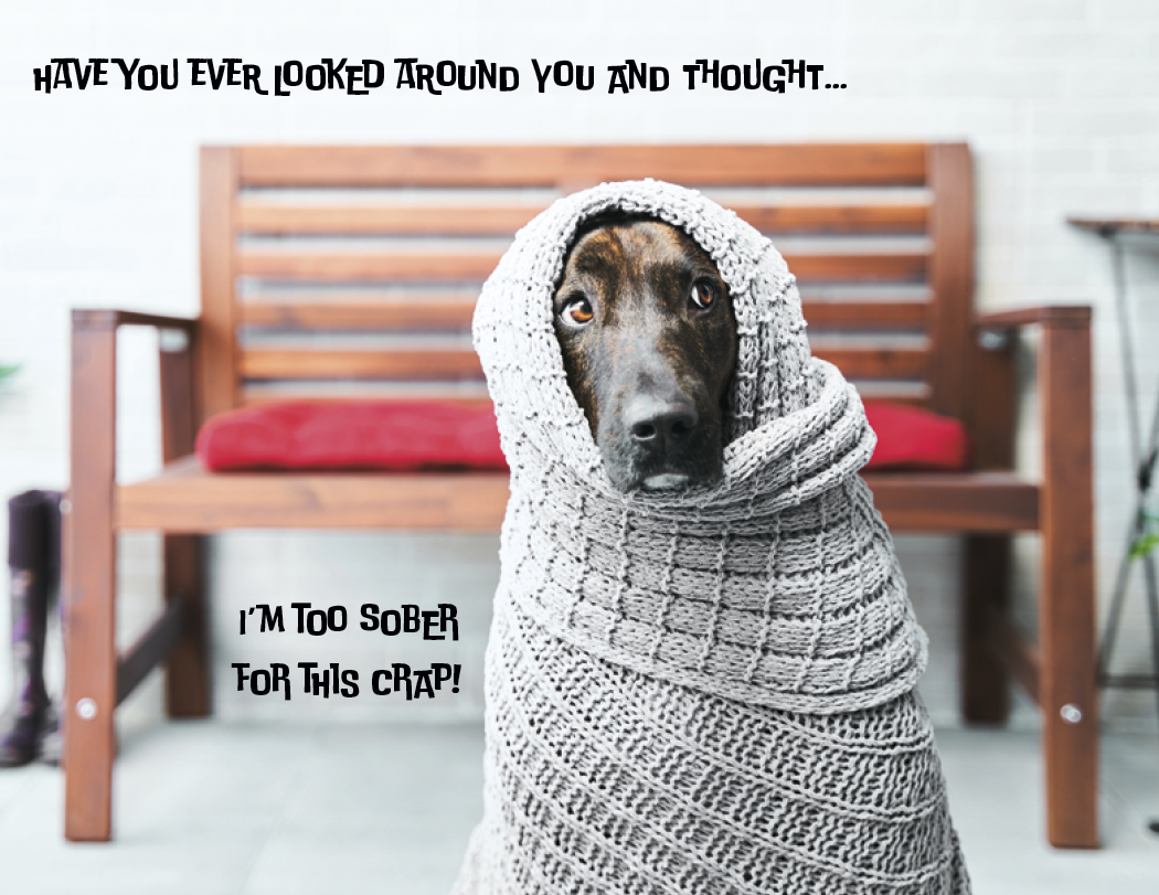 Good Value™ Pets with Attitude - Spiral Calendar 27