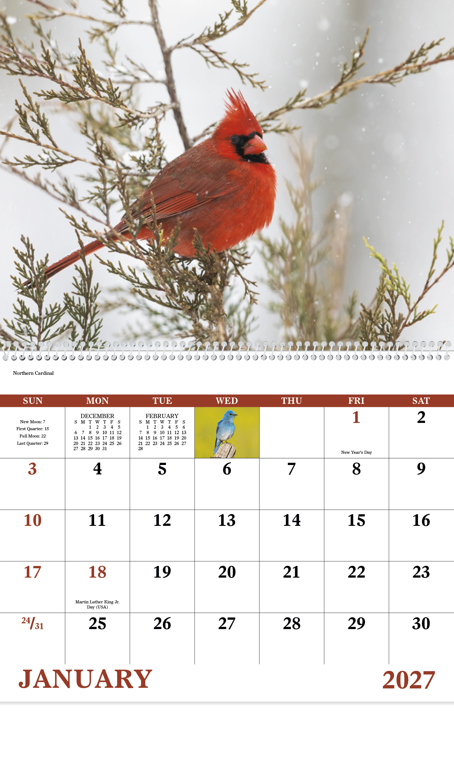 Good Value™ Birds of North America - Spiral Calendar 38