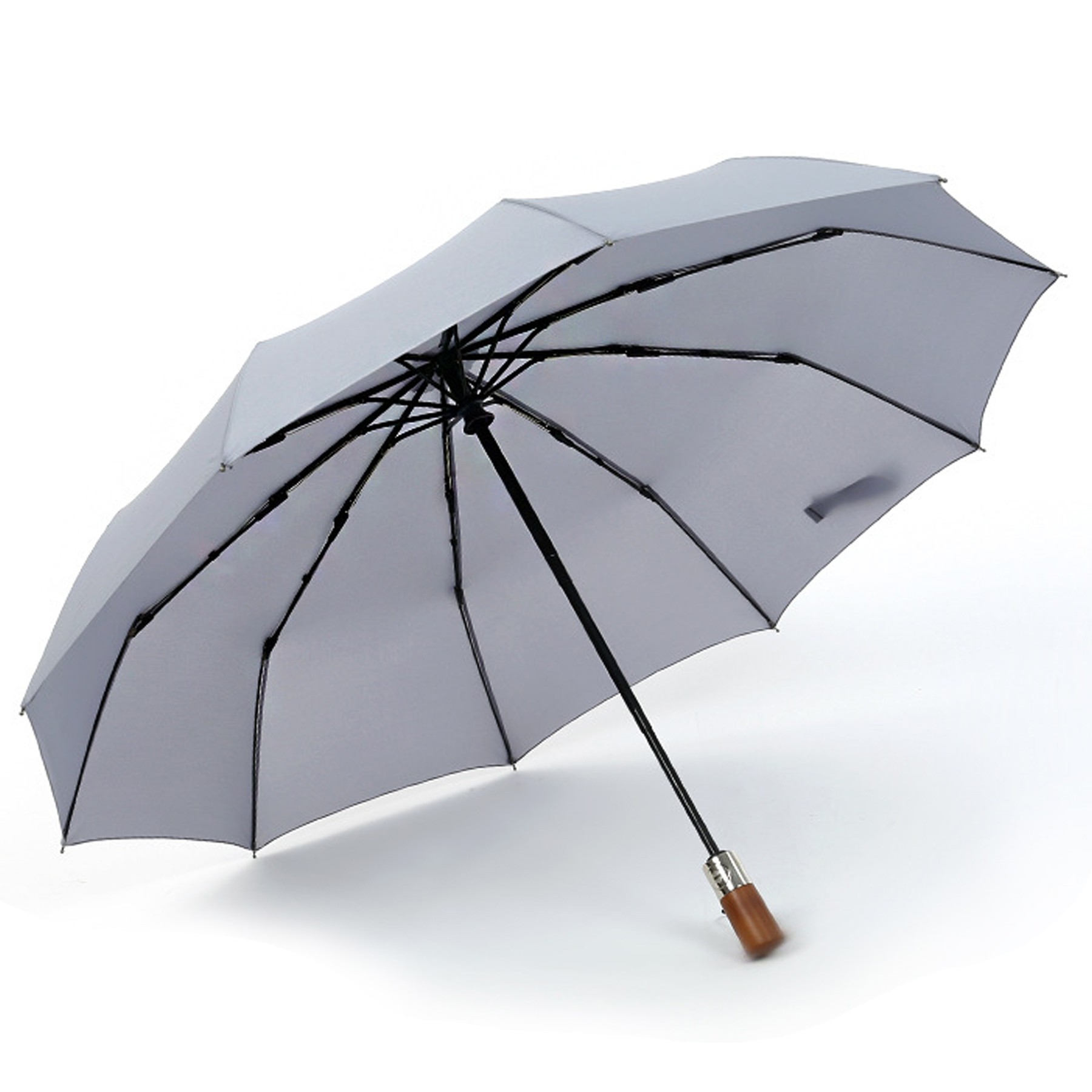 10 Ribs Auto Open Close Folding Umbrella 3