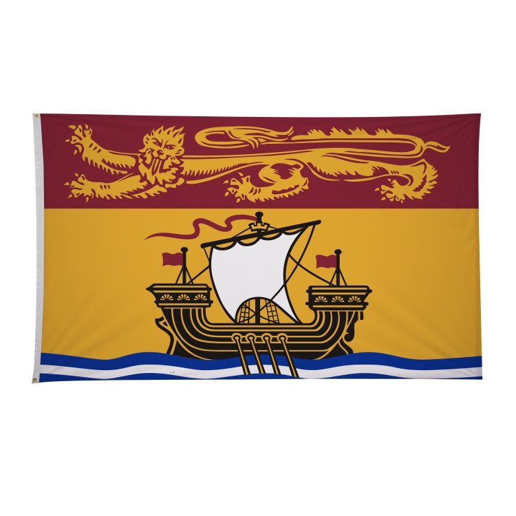 6' x 10' International Flags 192