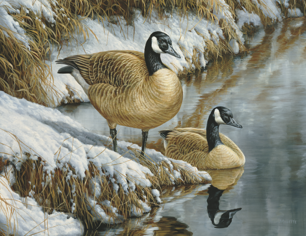 HotLine® Products Wildlife Collection Appointment Calendar - Stapled 4