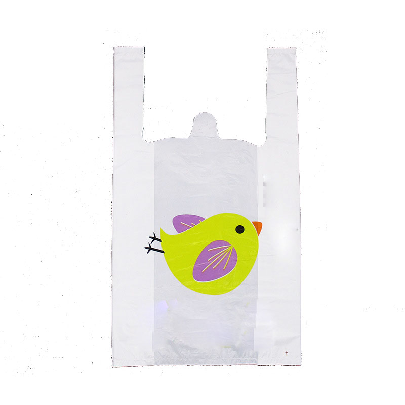 Plastic Hand Bag 2
