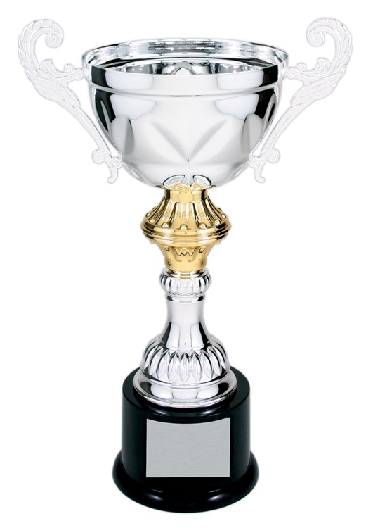 11-1/2" Tall Silver Metal Cup Trophy 1
