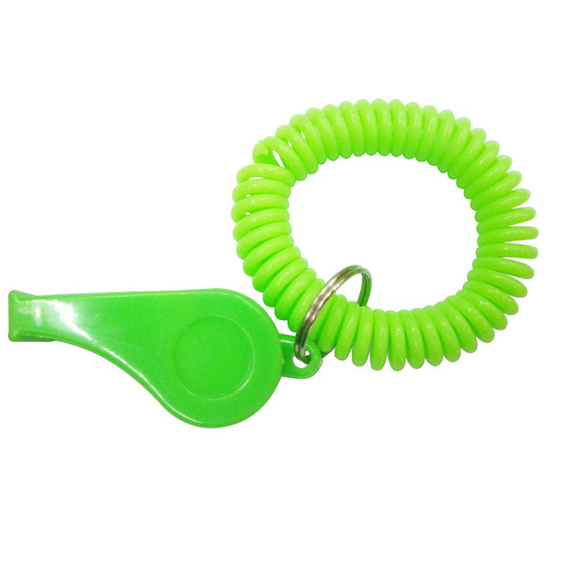 Whistle With Coil Keychain 3