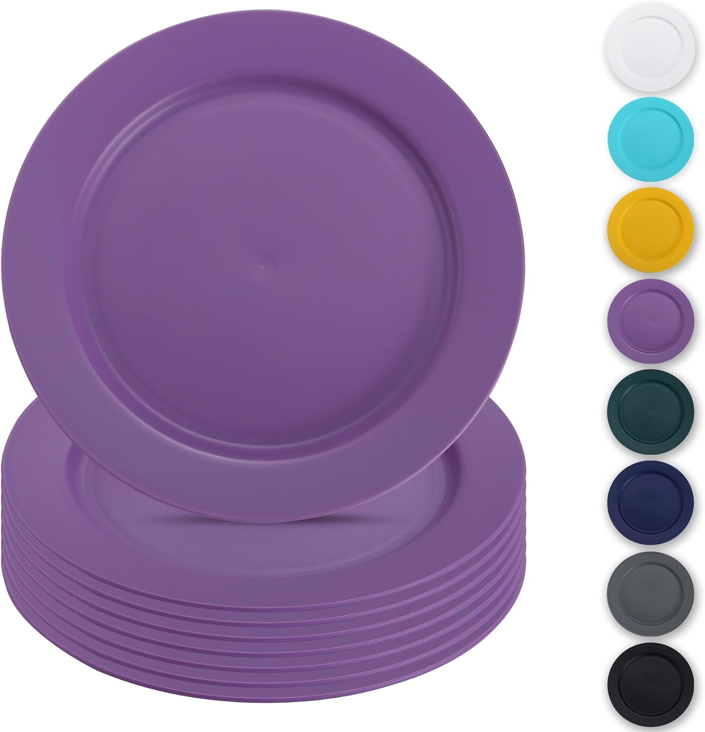 Reusable Flat Dinner Plates 2