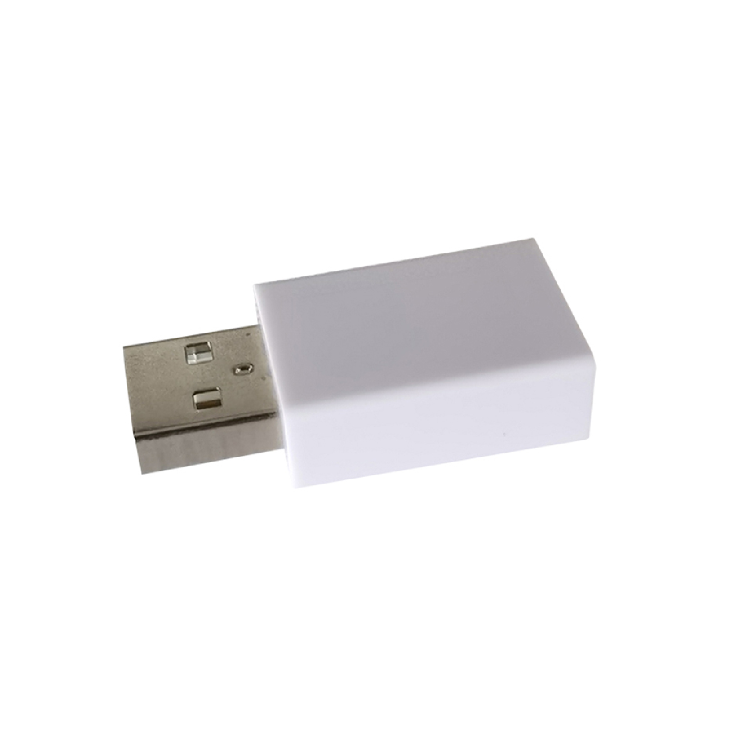Type A to C USB Data Protector 2