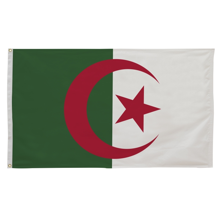 3' x 5' International Flags 277