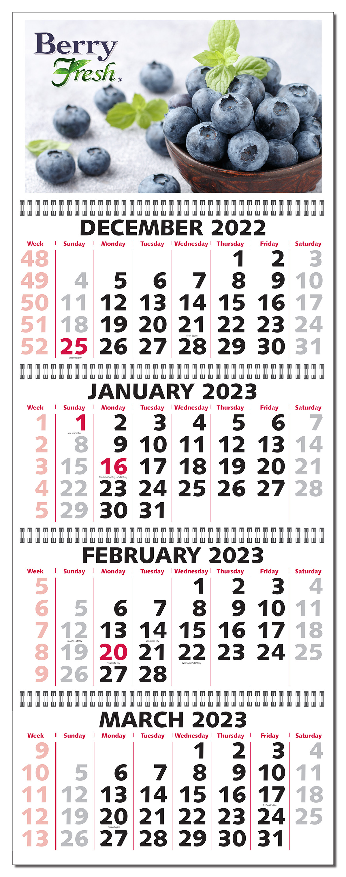 4 Month to View Wall Calendar