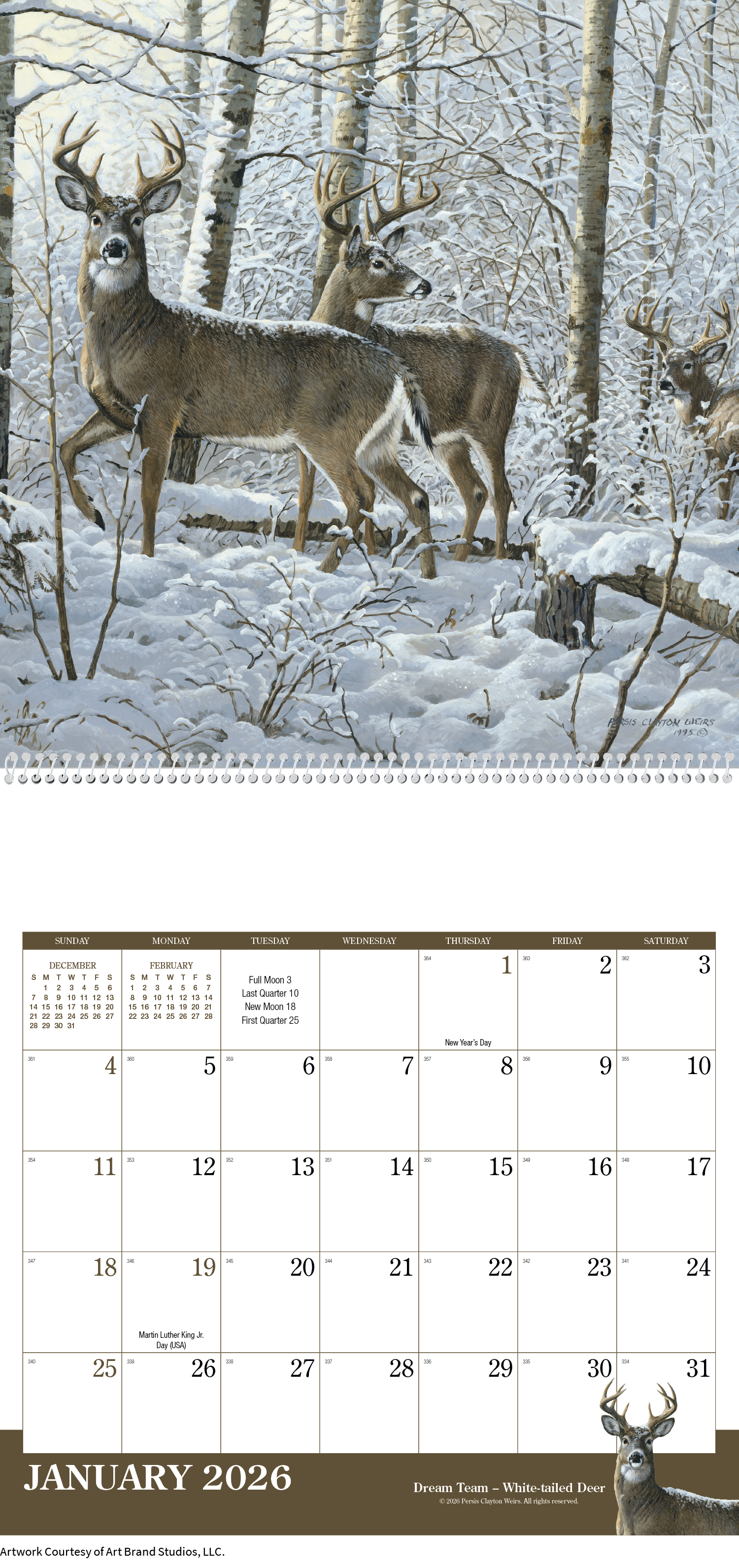 Triumph® Calendars Wildlife Art Calendar 23