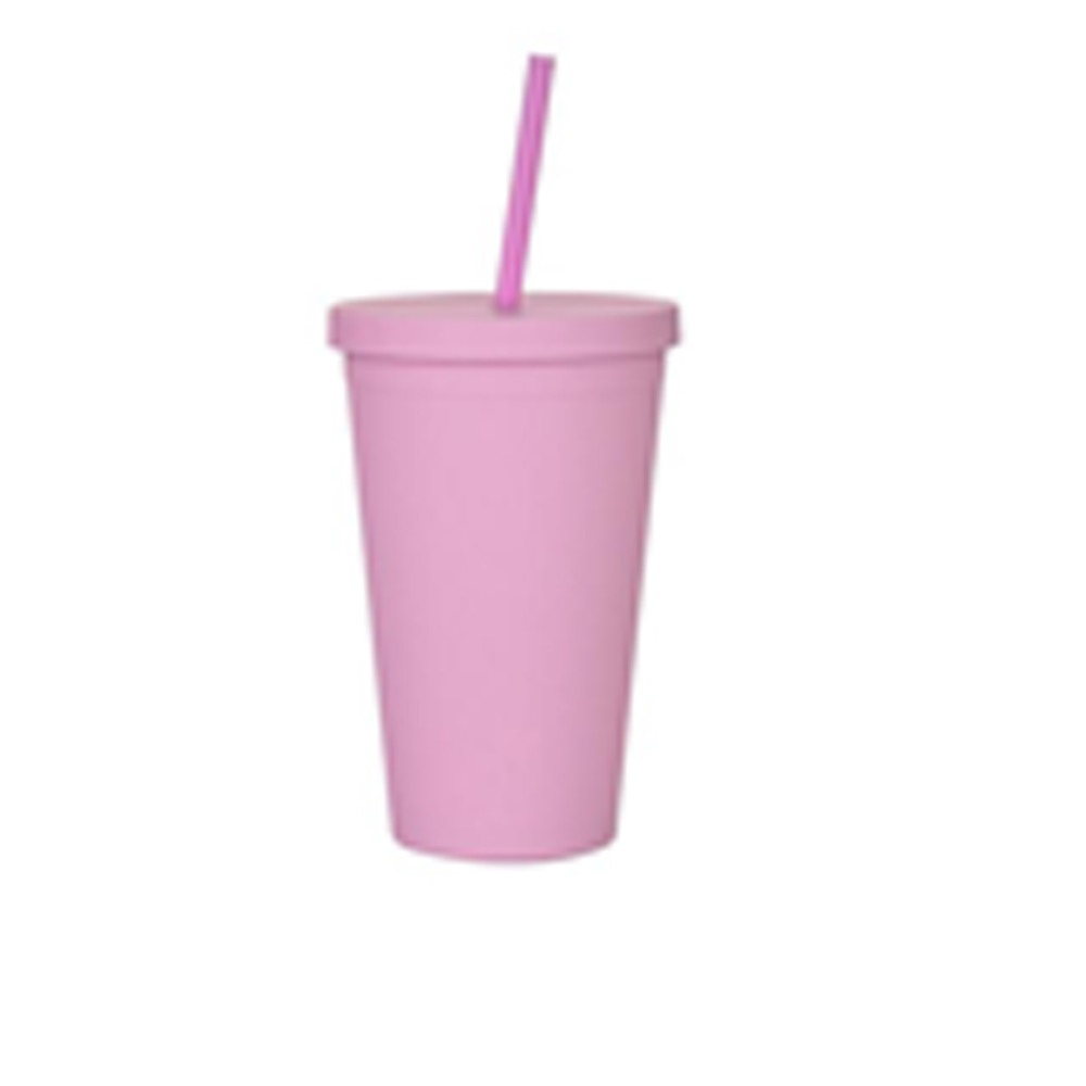 Double-Layer Plastic Straw Cup 2