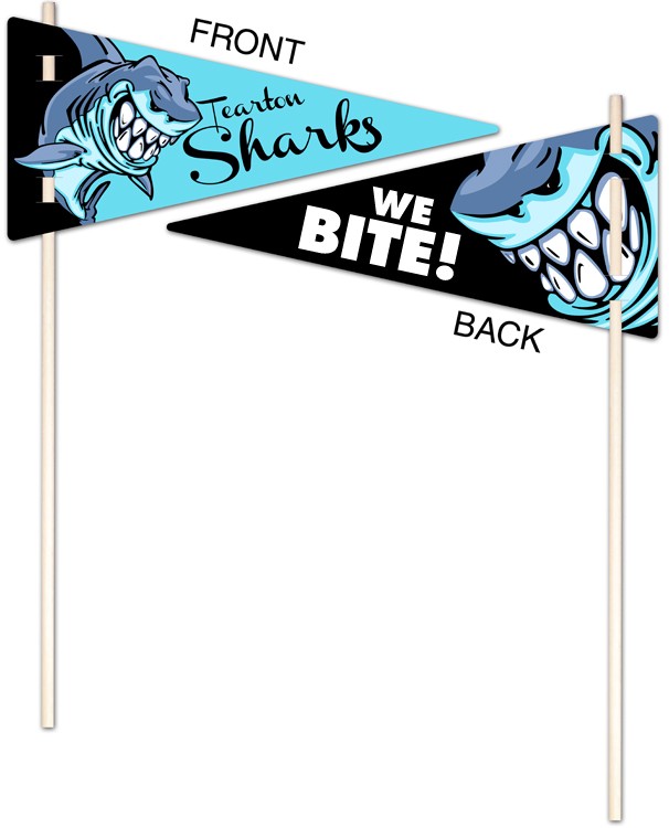 Flexible Plastic Pennant - UV-Coated (1S) - 5x11 - 10 pt. 2
