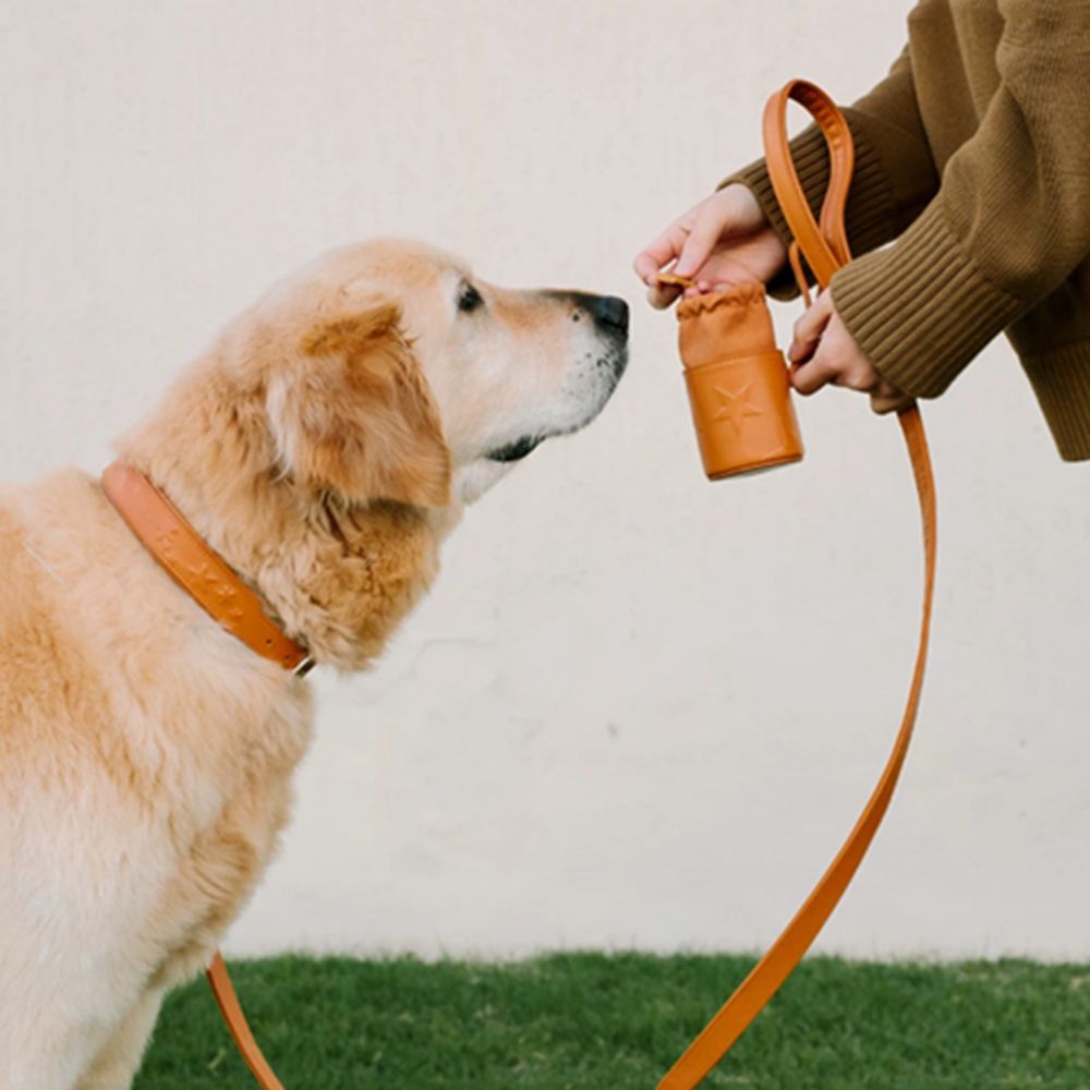 Portable Pet Treat Bag Single Shoulder Treat Bag 3