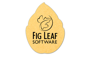 Leaf Compressed Sponge 7